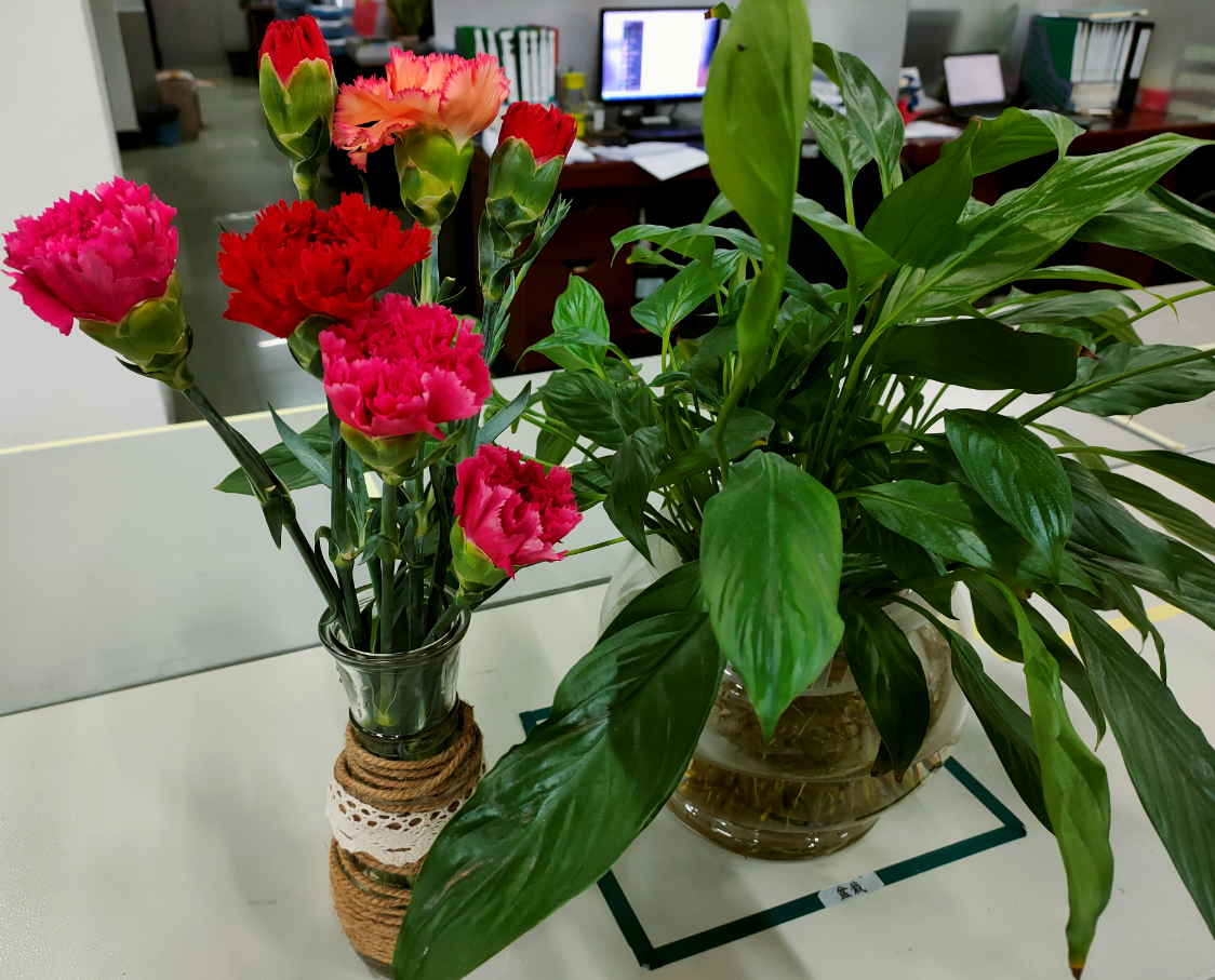 ������ʱ - �������ǲ�!